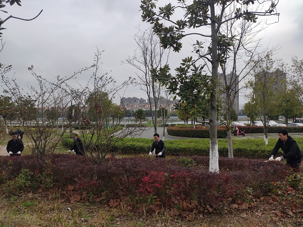 微信图片_20210304142848.jpg
